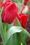 04 03 2006 044