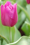 04 03 2006 064