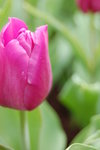 04 03 2006 066