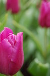 04 03 2006 142