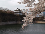 
Osaka Japan  