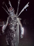 DSC00566