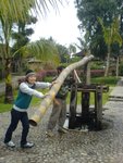 DSC01894