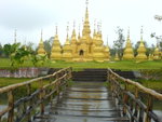 DSC01951