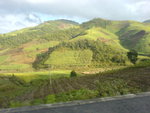 DSC01984