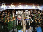 DSC02020