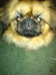 DSC00035