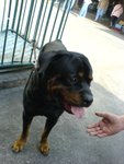 DSC00768