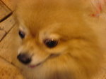 DSC01592