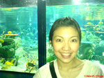 DSC00242