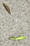 DSC06860