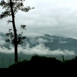DSC02923