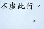 DSC02990