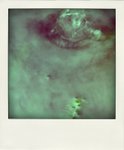 DSC01698-pola