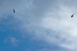 DSC02093