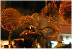 Fire Dragon 104a