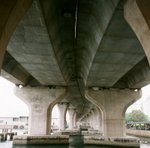 47550004