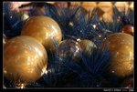 PICT0384