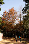 PICT0715