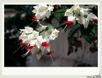 zIMG_1290