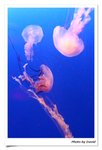 IMG_1625_nEO_IMG