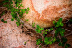CRW_3624