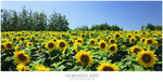 Hokkaido Day5_148@