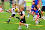 aDSC_0626