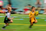 aDSC_0736