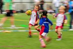 aDSC_0803
