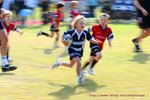 aDSC_5045
