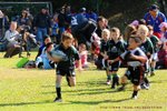 aDSC_5116