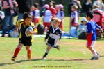 aDSC_5202