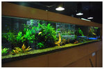 �Ȯy�C�B�� pau pau aqua garden 