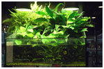 �Ȯy�C�B��pau pau aqua garden 