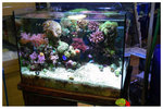 �Ȯy�C�B��pau pau aqua garden 