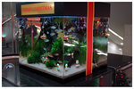 �a�U�ӳ� Aqua Forest Setting