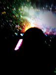 IMG_0667