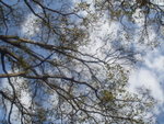 DSC09461