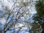 DSC09462