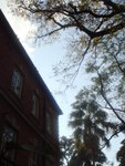 DSC09465