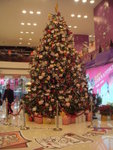 DSC04025