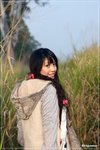 DPP_0043
