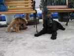 IMG_1004