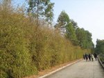 IMG_0955