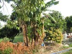 IMG_0961