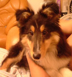DSCF5481