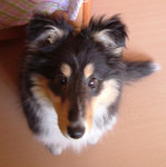 DSCF5494
