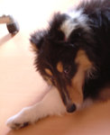 DSCF5510