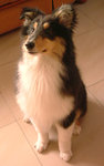DSCF5535